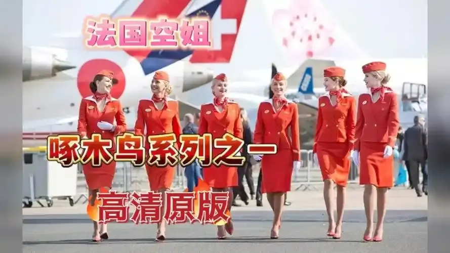 《法国空姐4》资源下载-法国空姐4免费观看完整版高清在线播放-法国空姐1-3季全季合集